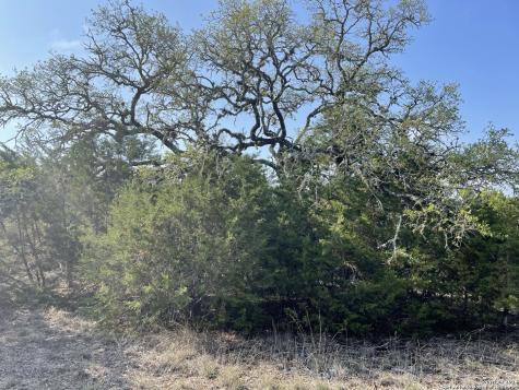 1865 Stallion Springs Drive Fischer TX 78623