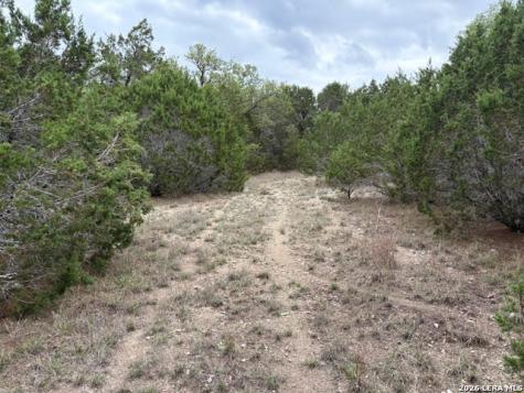 1865 Stallion Springs Drive Fischer TX 78623