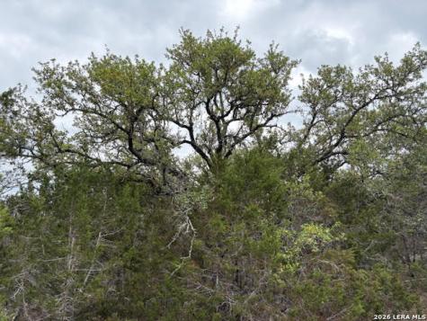1865 Stallion Springs Drive Fischer TX 78623