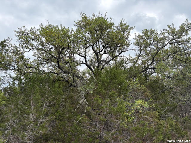 1865 Stallion Springs Drive Fischer TX 78623