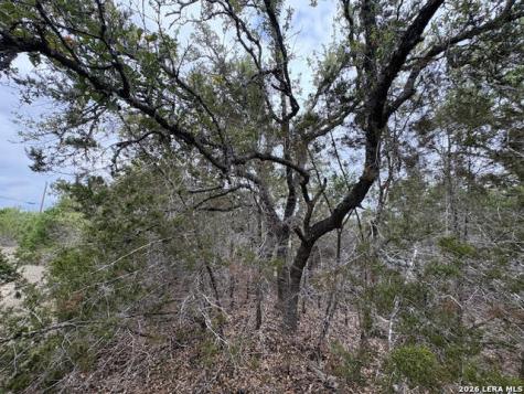 1865 Stallion Springs Drive Fischer TX 78623