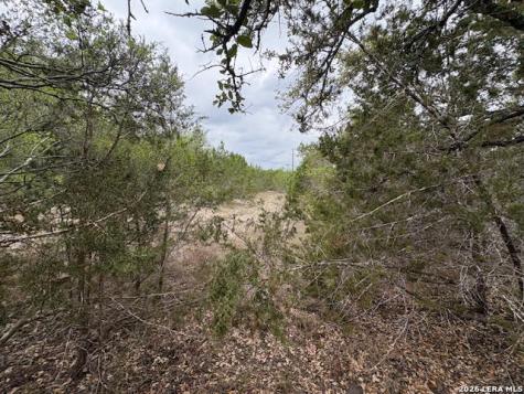 1865 Stallion Springs Drive Fischer TX 78623