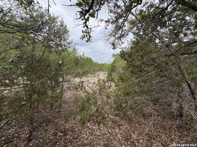 1865 Stallion Springs Drive Fischer TX 78623