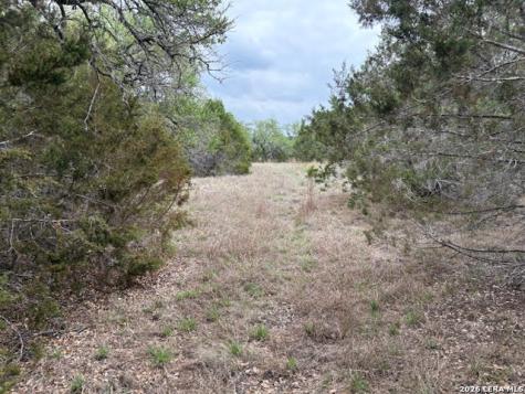 1865 Stallion Springs Drive Fischer TX 78623