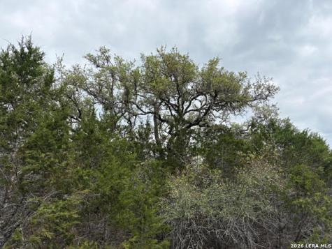 1865 Stallion Springs Drive Fischer TX 78623