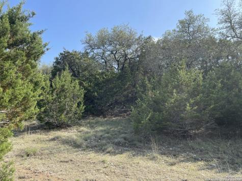 1865 Stallion Springs Drive Fischer TX 78623