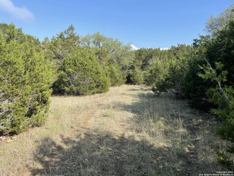1865 Stallion Springs Drive Fischer TX 78623