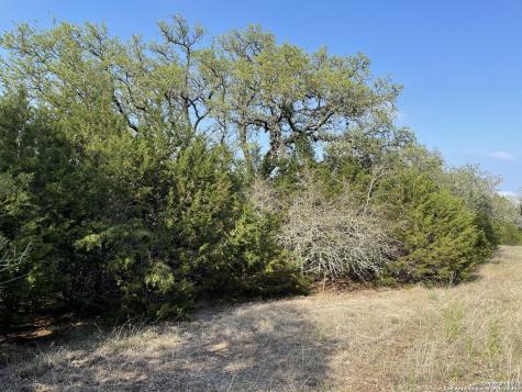 1865 Stallion Springs Drive Fischer TX 78623