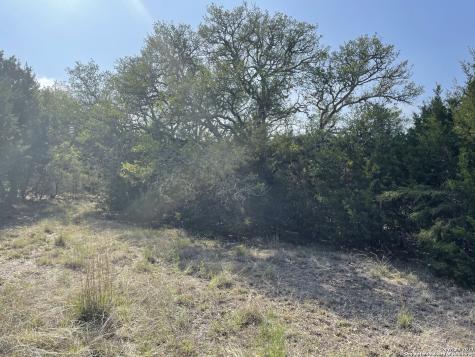 1865 Stallion Springs Drive Fischer TX 78623
