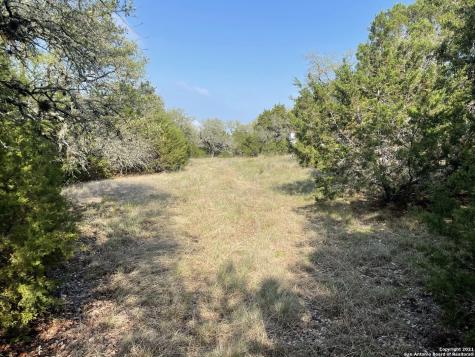 1865 Stallion Springs Drive Fischer TX 78623