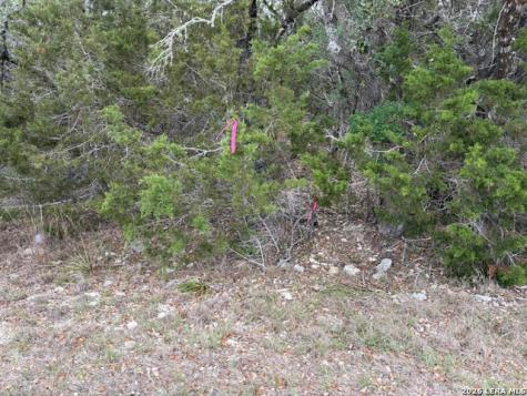 1865 Stallion Springs Drive Fischer TX 78623
