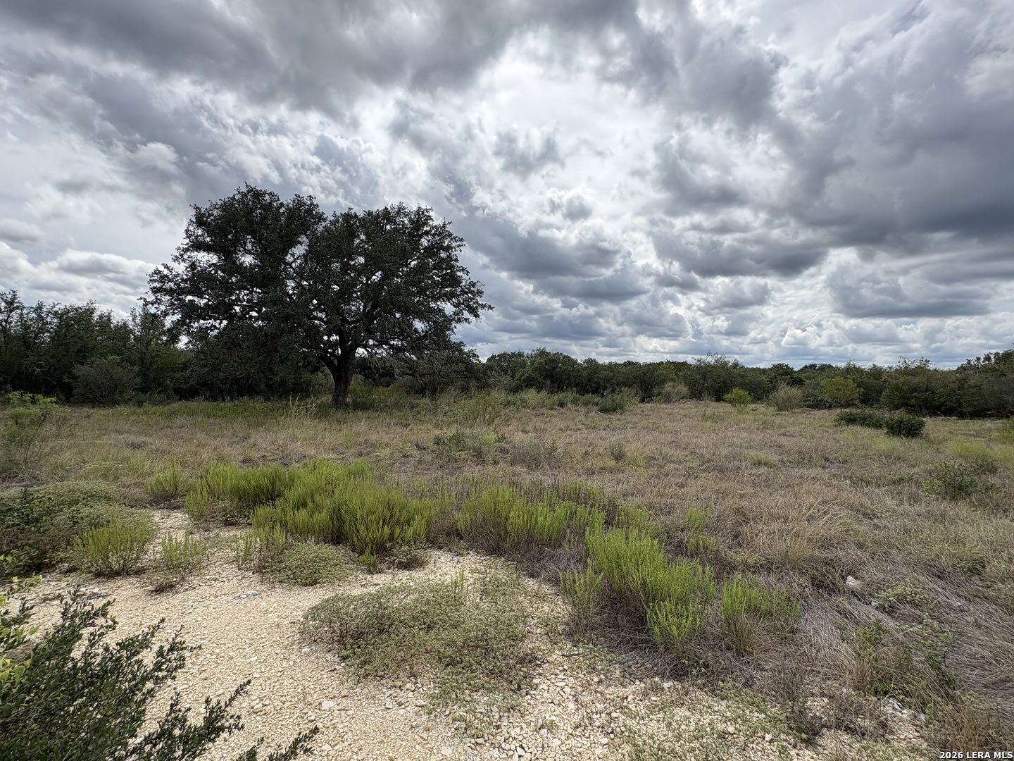 261 Grand Ranch Hondo TX 78861