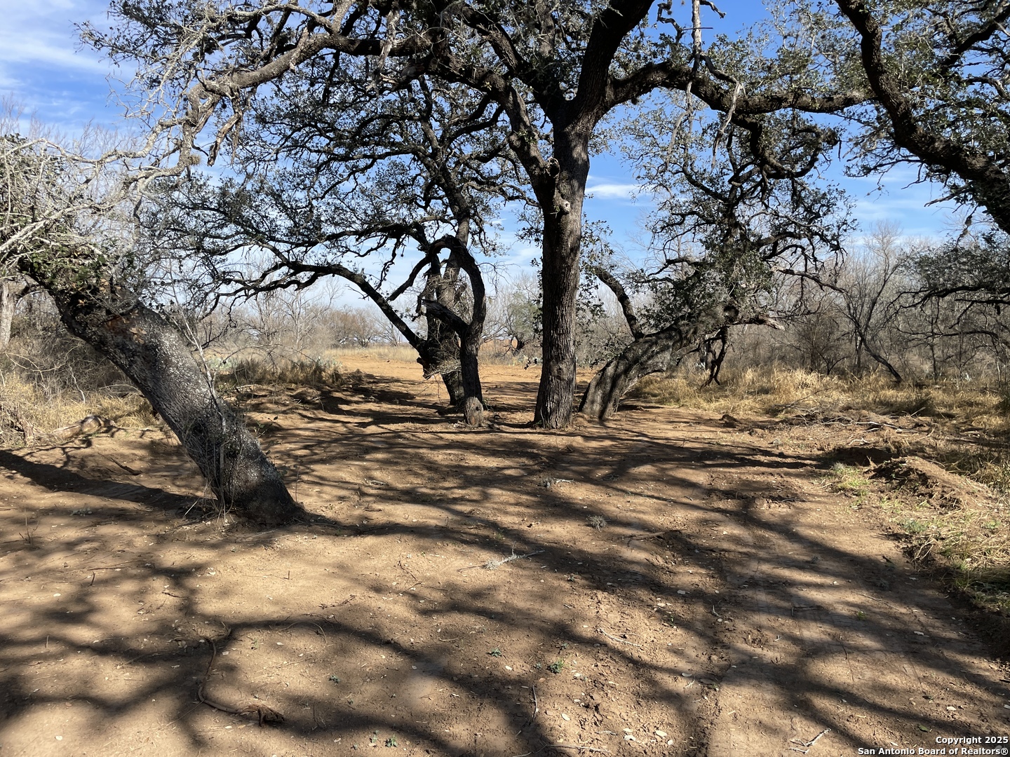 112 Cr 2644 Moore TX 78057