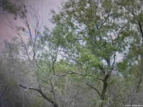 00 Ss Farms Lot 1920 Christine TX 78026