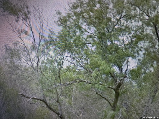 00 Ss Farms Lot 1920 Christine TX 78026