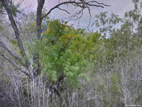 00 Ss Farms Lot 1920 Christine TX 78026