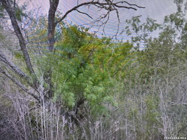 00 Ss Farms Lot 1920 Christine TX 78026