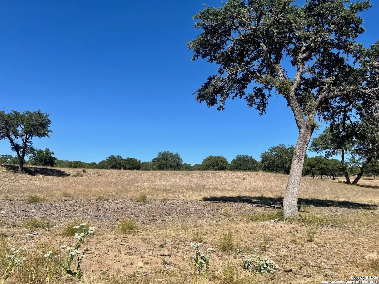 Lot 4 Elk Mountain Ranch Pipe Creek TX 78063