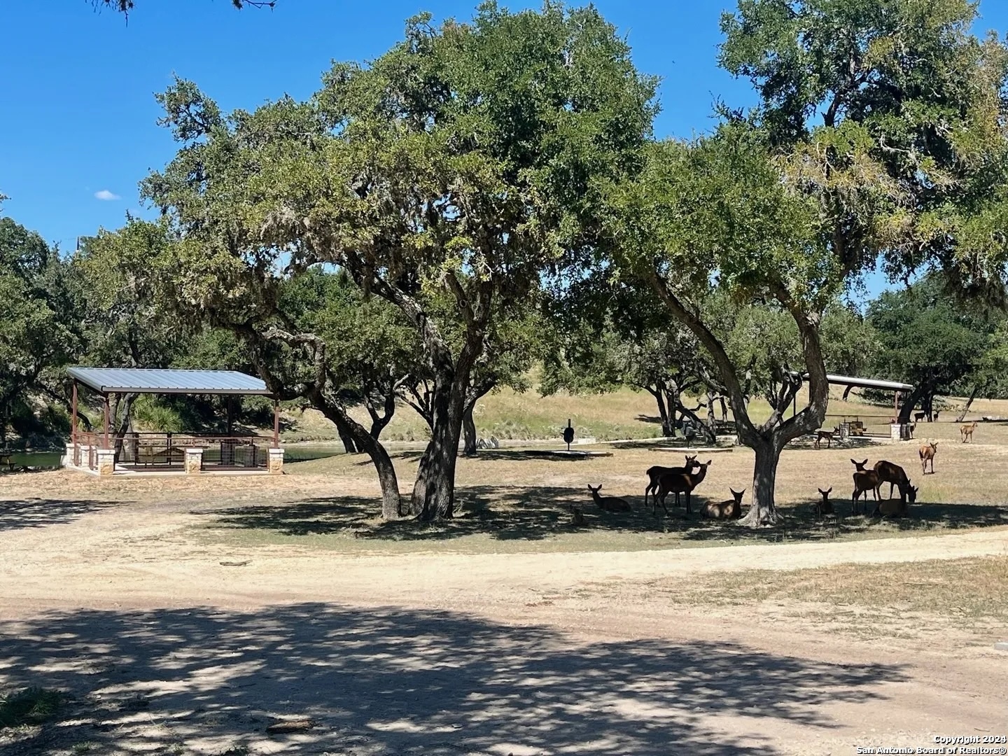 Lot 4 Elk Mountain Ranch Pipe Creek TX 78063