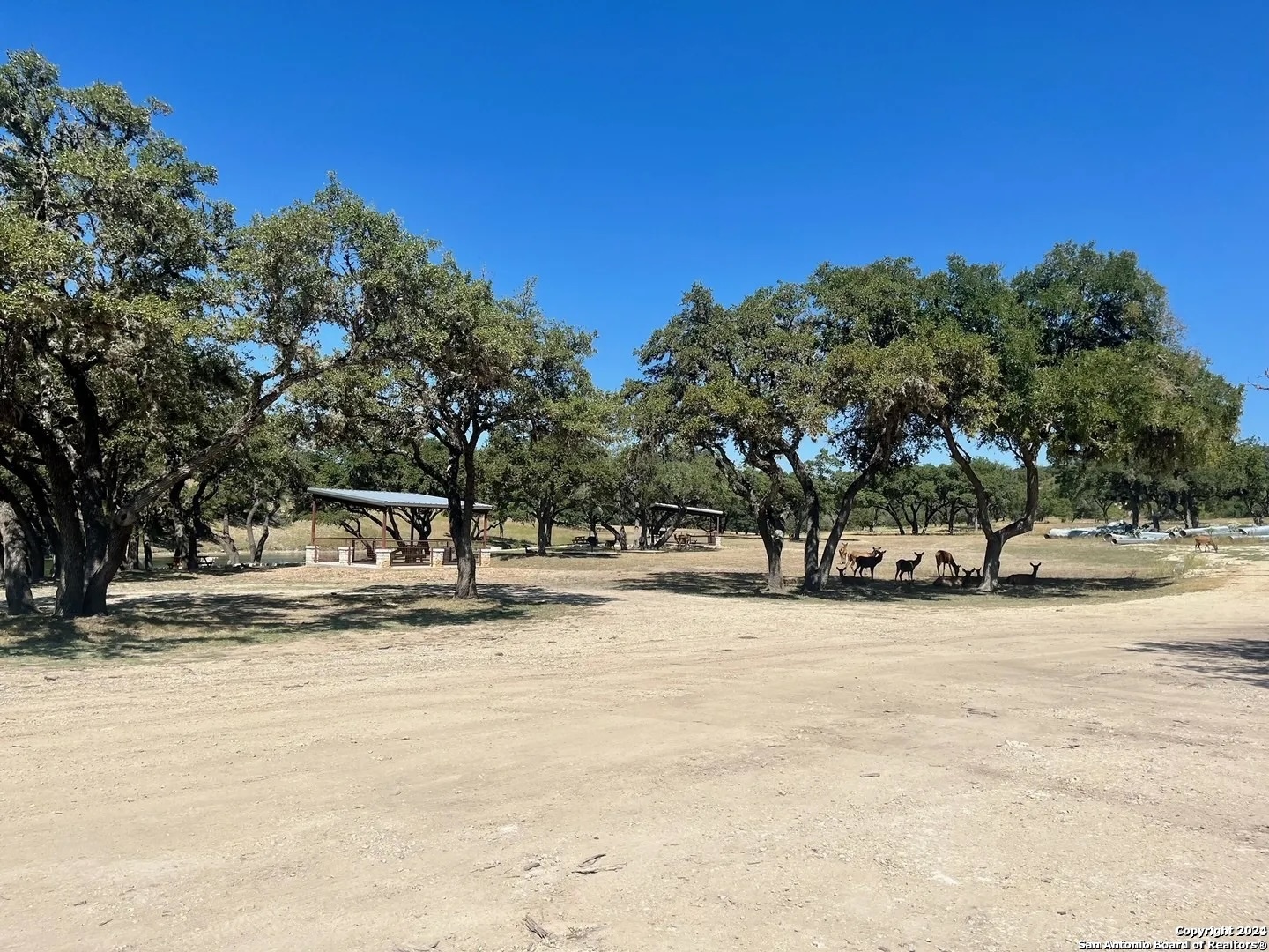 Lot 4 Elk Mountain Ranch Pipe Creek TX 78063