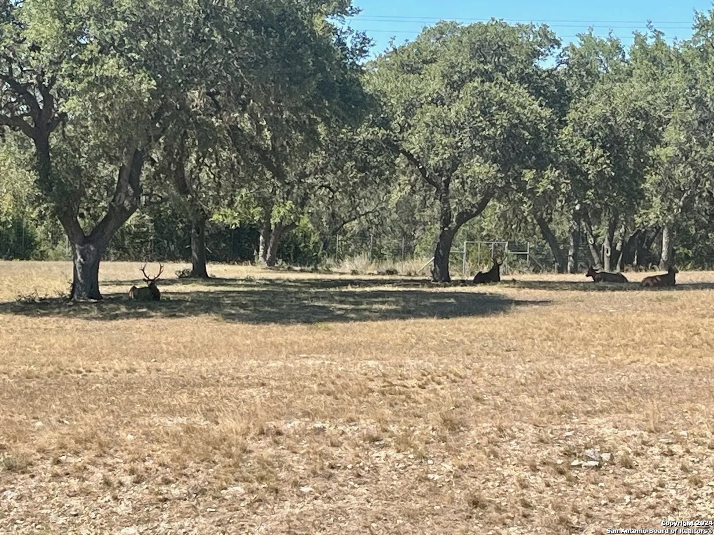 Lot 4 Elk Mountain Ranch Pipe Creek TX 78063