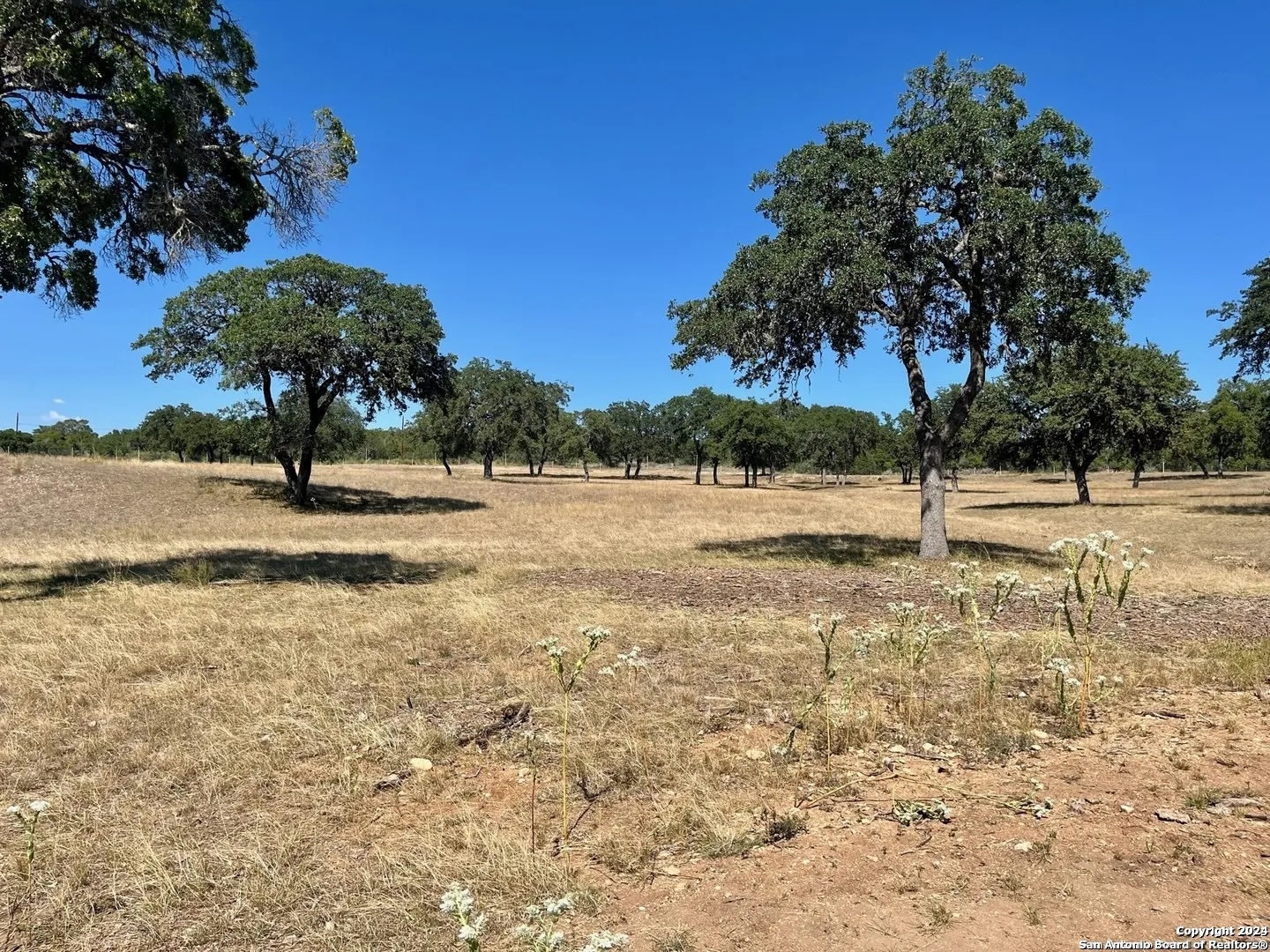 Lot 4 Elk Mountain Ranch Pipe Creek TX 78063
