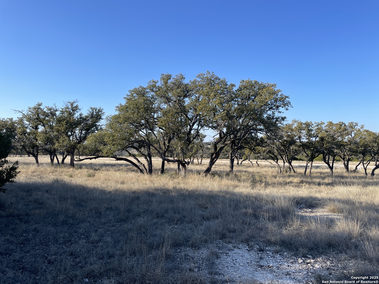 14 Seven Springs Drive Junction TX 76849
