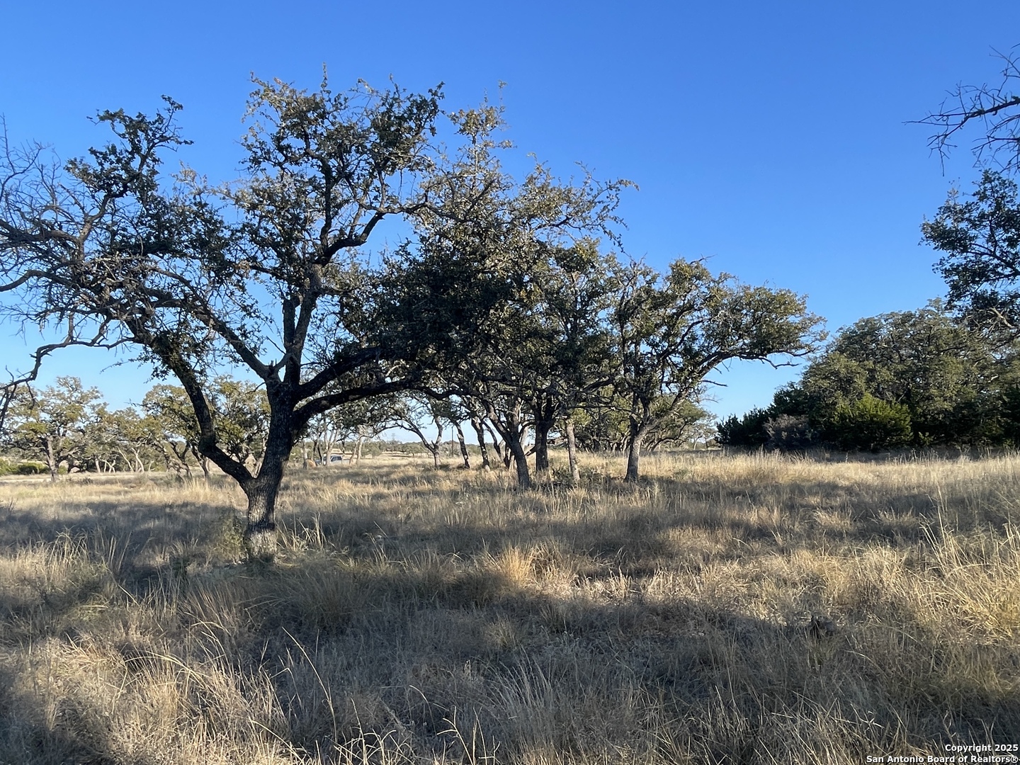 14 Seven Springs Drive Junction TX 76849