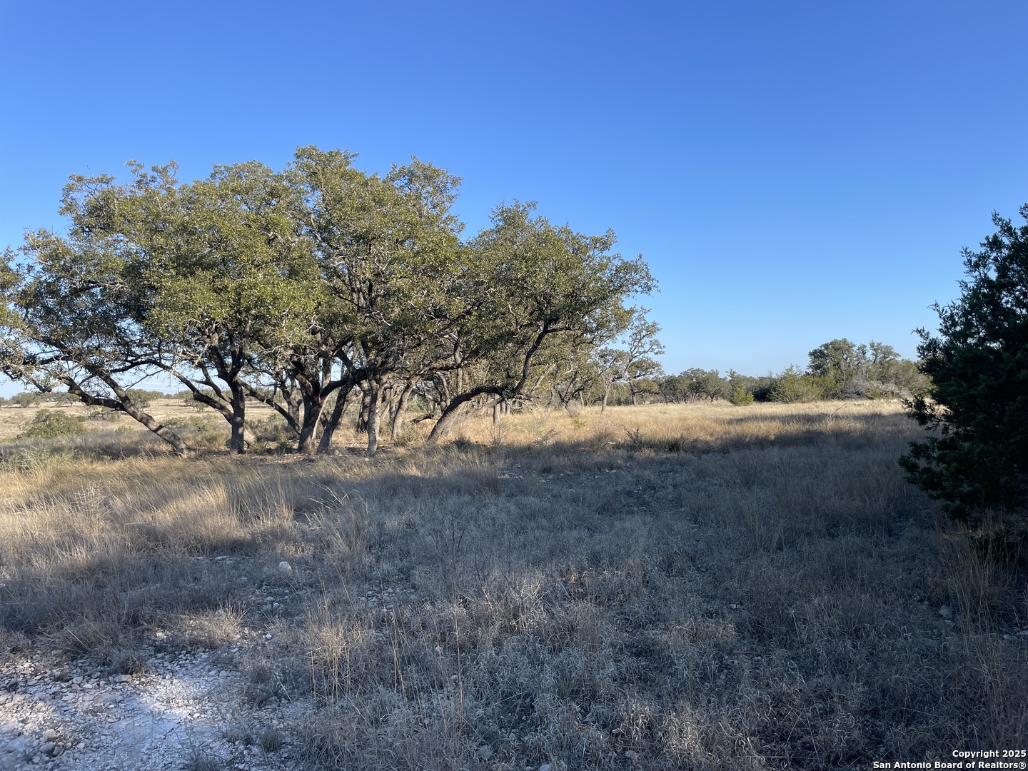 14 Seven Springs Drive Junction TX 76849