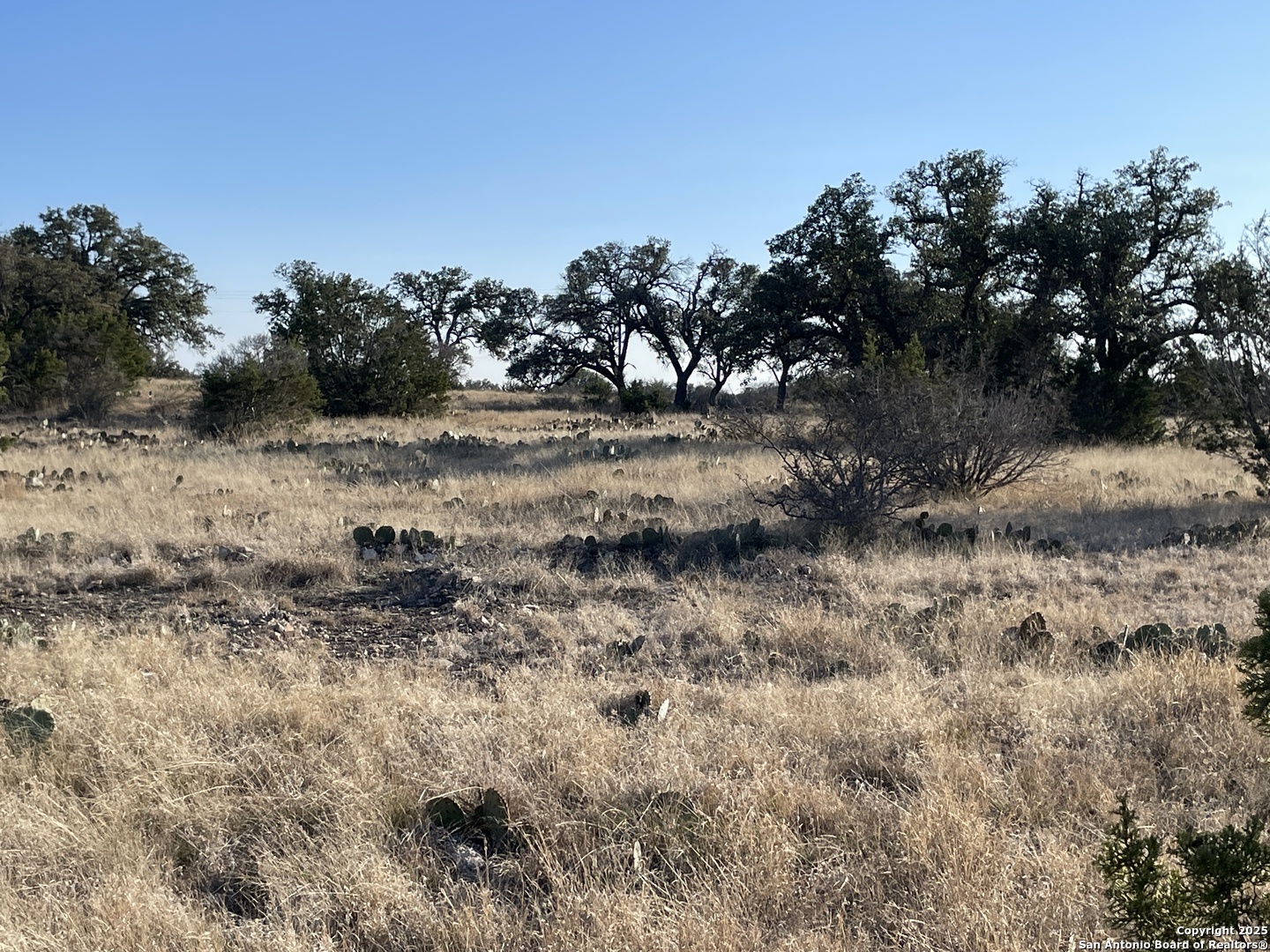 14 Seven Springs Drive Junction TX 76849