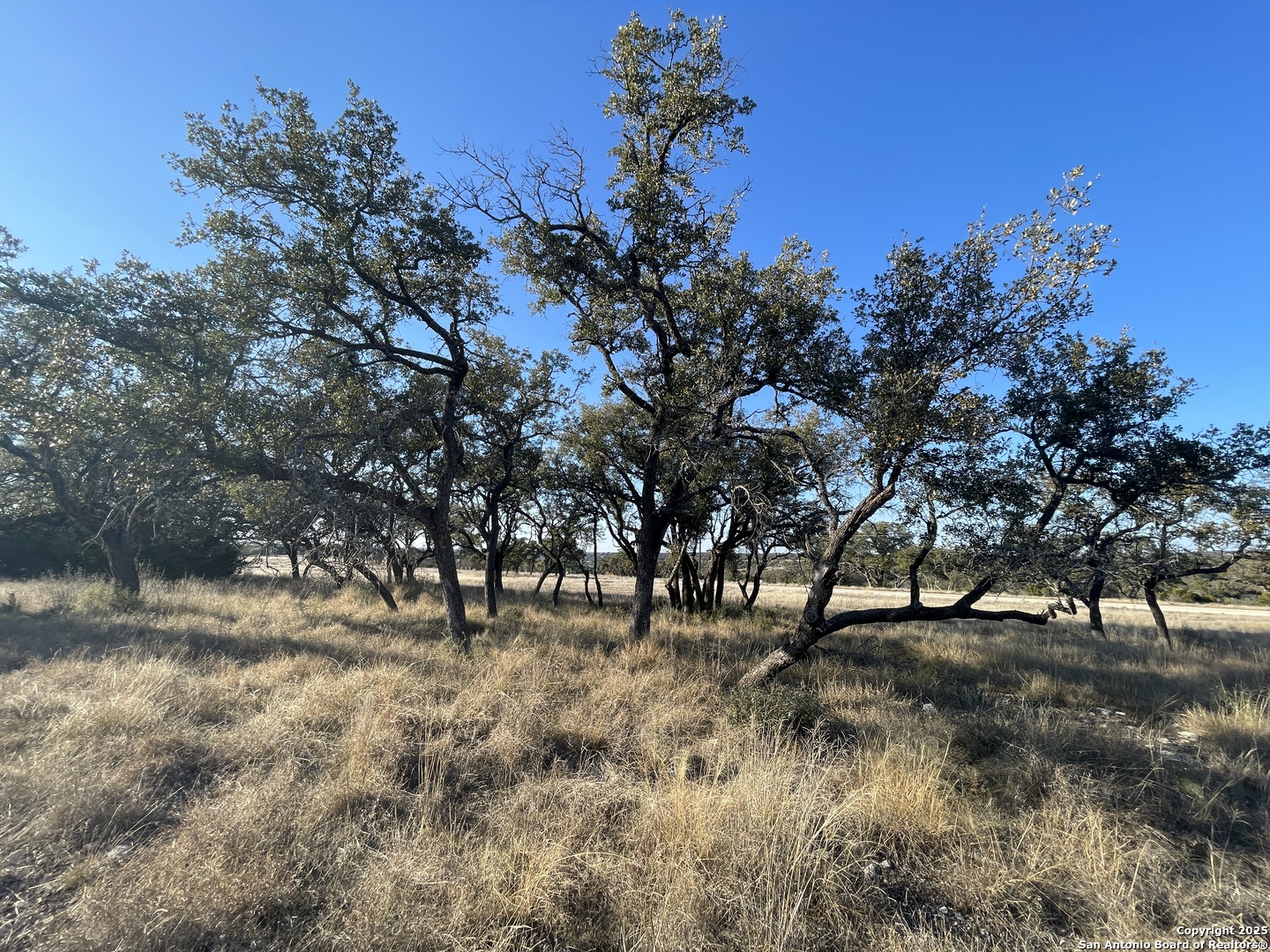 14 Seven Springs Drive Junction TX 76849