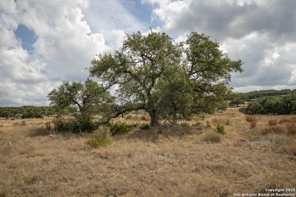 227 Mitchell Drive Spring Branch TX 78070