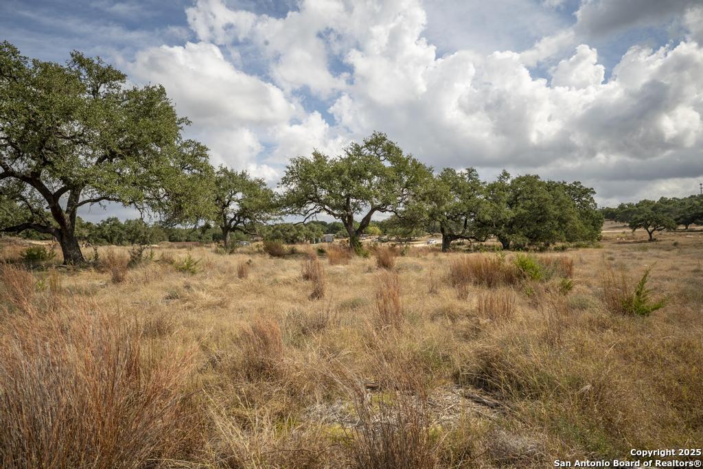 227 Mitchell Drive Spring Branch TX 78070
