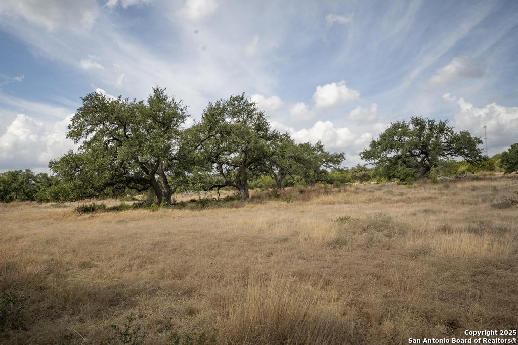 227 Mitchell Drive Spring Branch TX 78070