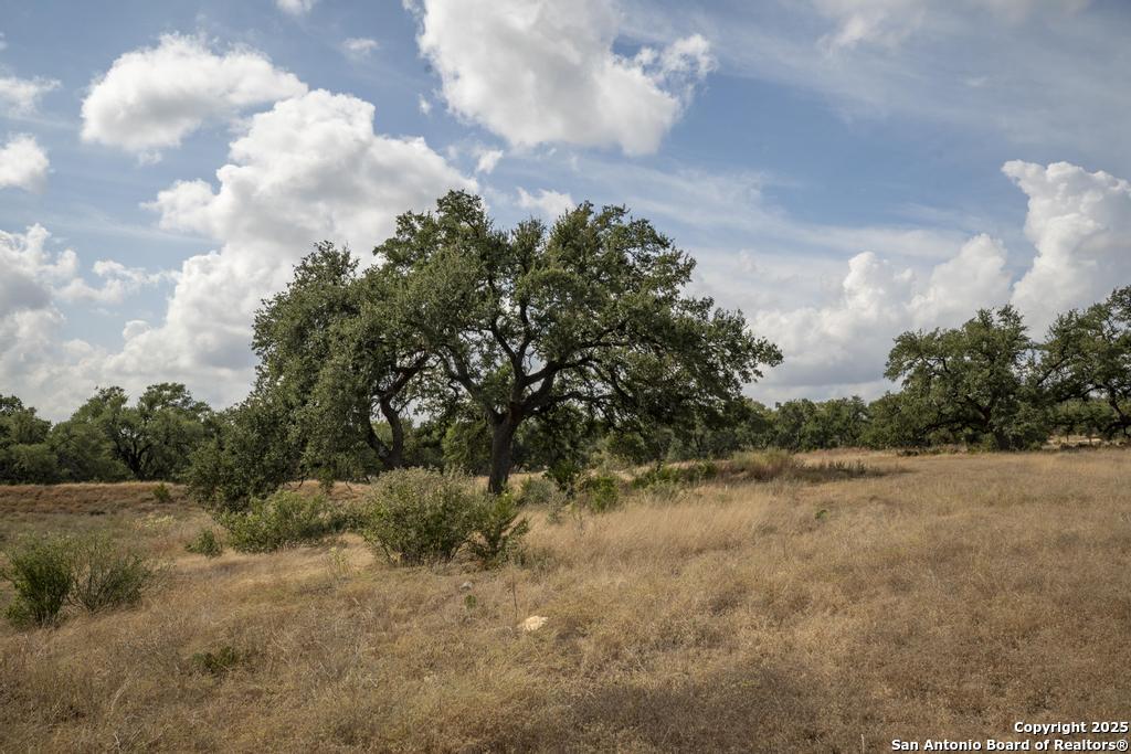 227 Mitchell Drive Spring Branch TX 78070