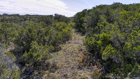 Lot 342 County Road 2744 Mico TX 78056