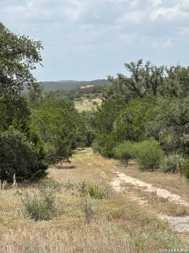 Lot 37 Pr 2532 Mico TX 78056