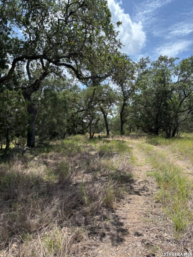 Lot 37 Pr 2532 Mico TX 78056