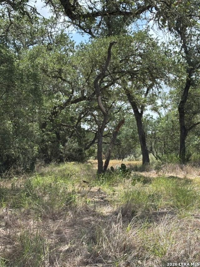 Lot 37 Pr 2532 Mico TX 78056
