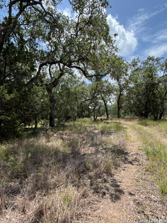 Lot 37 Pr 2532 Mico TX 78056