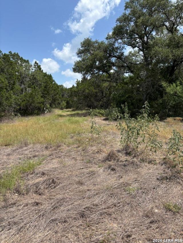 Lot 37 Pr 2532 Mico TX 78056