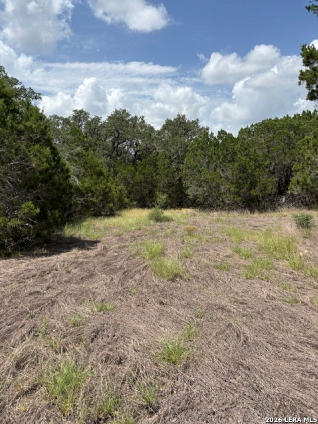 Lot 37 Pr 2532 Mico TX 78056