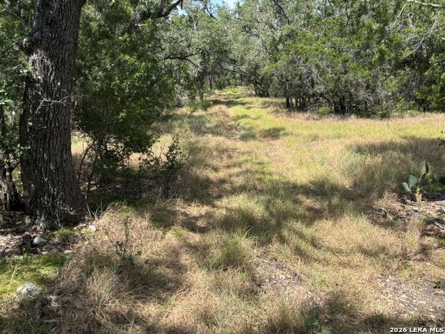 Lot 37 Pr 2532 Mico TX 78056
