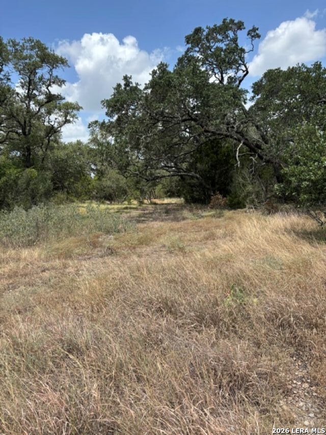 Lot 37 Pr 2532 Mico TX 78056