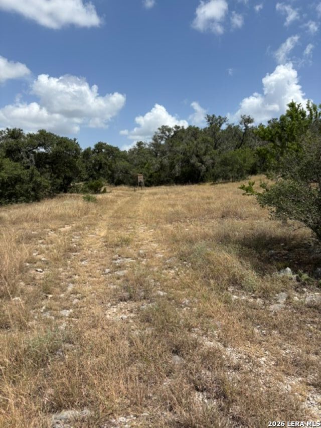 Lot 37 Pr 2532 Mico TX 78056