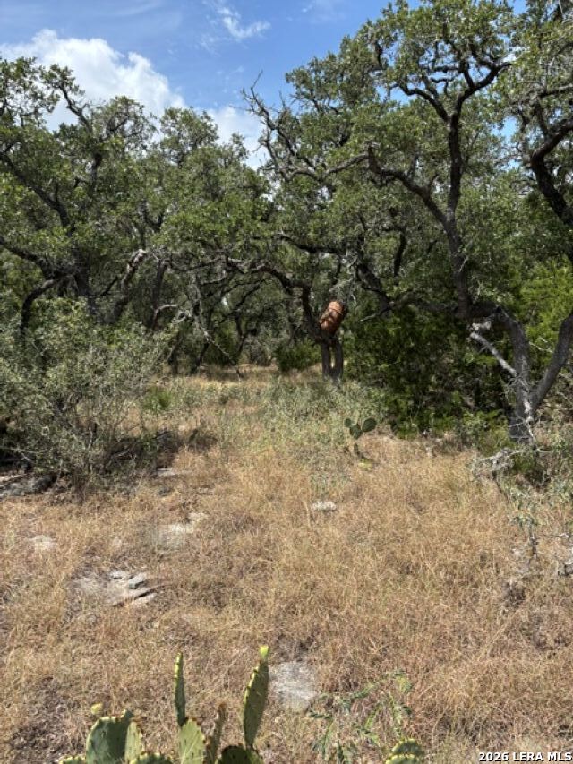 Lot 37 Pr 2532 Mico TX 78056