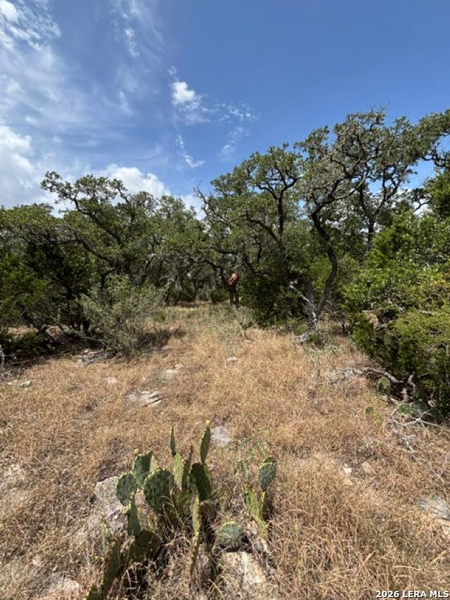 Lot 37 Pr 2532 Mico TX 78056