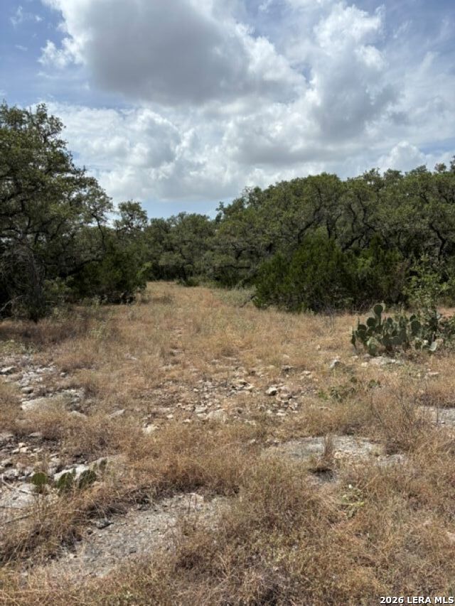 Lot 37 Pr 2532 Mico TX 78056