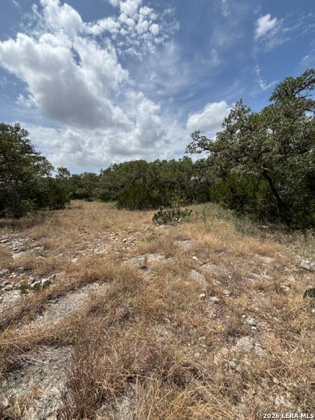 Lot 37 Pr 2532 Mico TX 78056