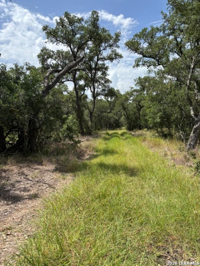 Lot 37 Pr 2532 Mico TX 78056